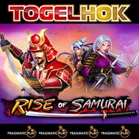 Rise Of Samurai